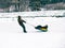 Toned image of a happy family where dad lucky sledging laughing little boy in a forest of fir trees