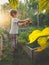 Toned image of little toddler boy helping in garden and watering vegetables from plastic can