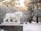 Toned image sculpture of a lion standing on a pedestal in the winter in Saint Petersburg against the backdrop of snow-covered tree