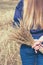 Toned photo of sunlit girl standing back to camera and holding autumn bouquet made of fluffy and large bunch of yellow reed.