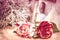 Toned photo of two roses for valentineÂ´s or birtday day, background photography, vintage