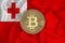 Tonga flag, bitcoin gold coin on flag background. The concept of blockchain, bitcoin, currency decentralization in the country. 3d