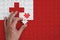 Tonga flag is depicted on a puzzle, which the man`s hand completes to fold