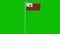 Tonga Flag Waving on wind on green screen or chroma key background. 3d rendering