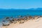 Tonga quarry campsite beach at Abel Tasman national park in New Zealand