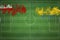 Tonga vs Gabon Soccer Match, national colors, national flags, soccer field, football game, Copy space