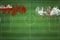 Tonga vs Iran Soccer Match, national colors, national flags, soccer field, football game, Copy space