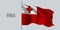 Tonga waving flag on flagpole vector illustration