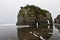 Tongaporutu Beach on North Island New Zealand