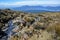 Tongariro Alpine Crossing New Zealand - view over Lake Rotoaira, close to Ketetahi hut