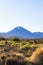 Tongariro mountain. Valley of Three Volcanoes. North Island. New Zealand