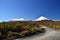 Tongariro national park, lanscape with road, New Zealand