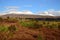 Tongariro national park, lanscape with road, New Zealand