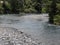 Tongariro River Scene in New Zealand