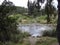 Tongariro River Scene in New Zealand