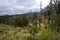 Tongariro trail landscape, New Zealand