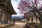 Tongdosa temple and Plum Blossom