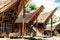Tongkonan houses with horns of buffaloes and wood carving and paintings, traditional torajan buildings. Kete Kesu, Tana Toraja,