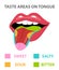 Tongue Map, areas with receptors responsible for taste, flat style. Isolated on white background. sweet, salty, sour