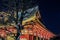Tonight cityscape of Tokyo. Architecture of tonight Tokyo. Travel around Japan. Authentic architecture of Tokyo.