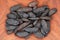 Tonka beans