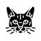 tonkinese cat cute pet glyph icon vector illustration