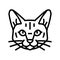 tonkinese cat cute pet line icon vector illustration