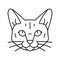 tonkinese cat cute pet line icon vector illustration