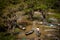 Tonle Sap, Cambodia- February 2014: A fisherman paddles his canoe in the mangroves