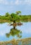 Tonle Sap lake, Cambodia.