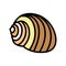 tonna sea shell beach color icon vector illustration
