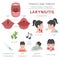 Tonsils and throat diseases. Laryngitis symptoms, treatment icon set. Medical infographic design