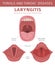 Tonsils and throat diseases. Laryngitis symptoms, treatment icon set. Medical infographic design