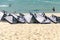 Too many kitesurf boards over the sand