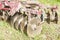 Tool for agriculture: disc harrow