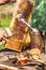 A tool of the beekeeper to work with bees. Smoker, cutting wax lids with hot fork from honeycomb for honey extraction, honeycomb