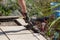 Tools of the craftsman. A professional paver worker laying patio slabs in a gravel bed using a professional paving hammer.