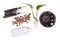 Tools for keeping houseplants in passive hydroponics system without soil with water level indicators, expanded clay pellets