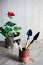 Tools for landscaping and planting. In the background is a red geranium flower. Diffuse. Preparation for transplanting indoor