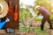 Tools on planting on wood table and farm work