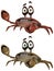 Toon Crab