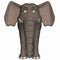 Toon Elephant