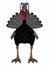 Toon Turkey