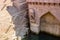 Toor ji Stepwell in Jodhpur