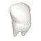 Tooth. 3d illustration