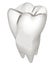 Tooth. 3d illustration