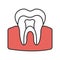 Tooth anatomical structure color icon