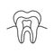 Tooth anatomical structure linear icon