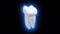 Tooth, animation of rotating on a black background. Oral care. Dental Insurance.