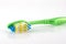 Tooth-brush with green handle